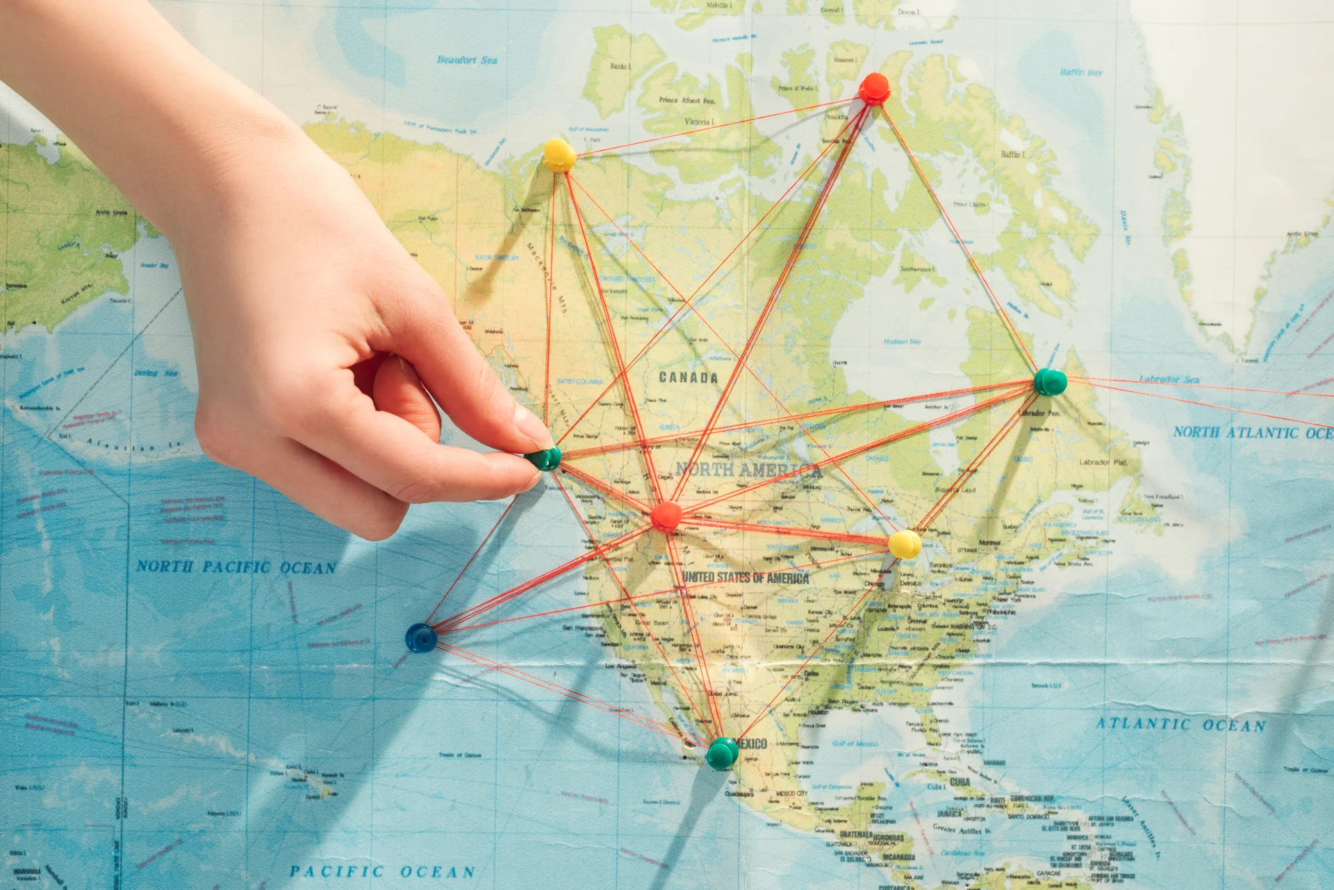 International Procurement